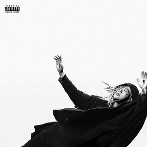 久久无码国产专区精品
