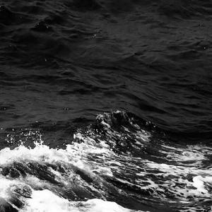 久久无码国产专区精品
