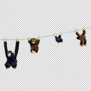 久久无码国产专区精品
