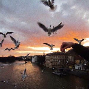 久久无码国产专区精品
